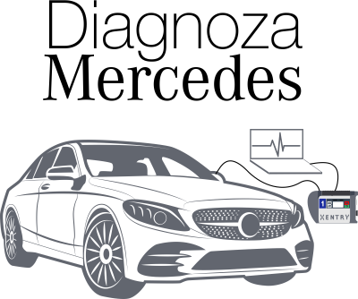 Servicii Diagnoza Mercedes Iasi